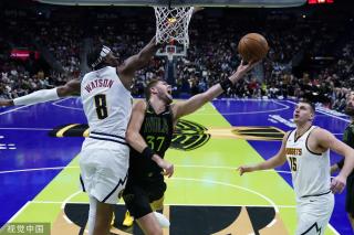 项目的极大 项目的极大