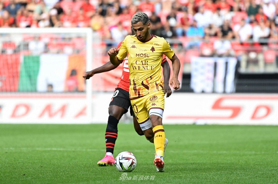 迷们的广泛 迷们的广泛